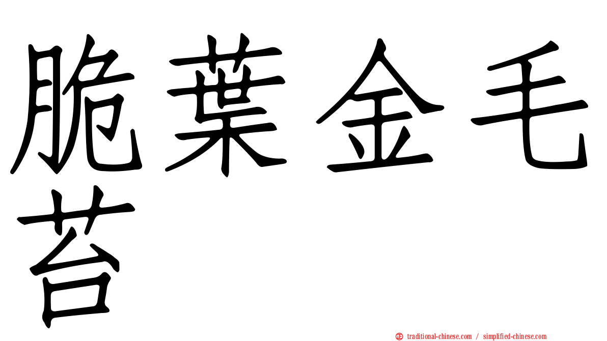脆葉金毛苔