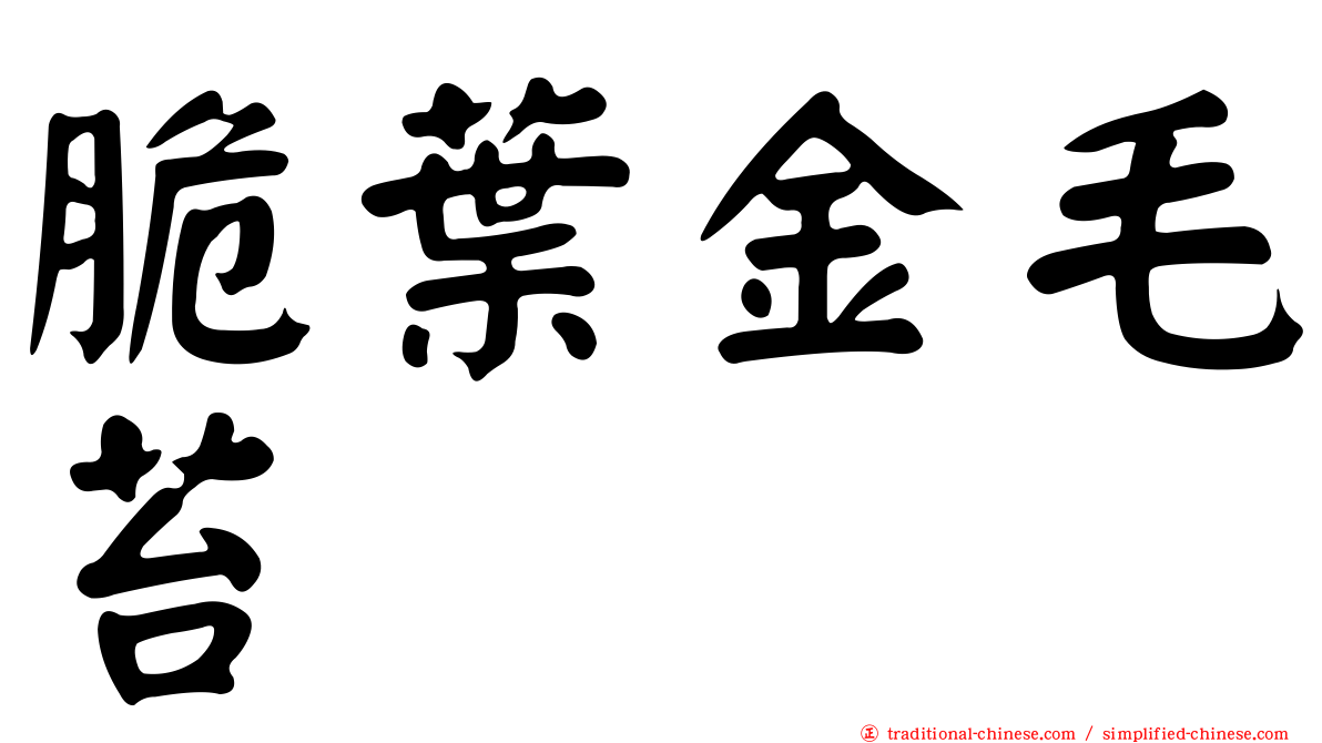脆葉金毛苔