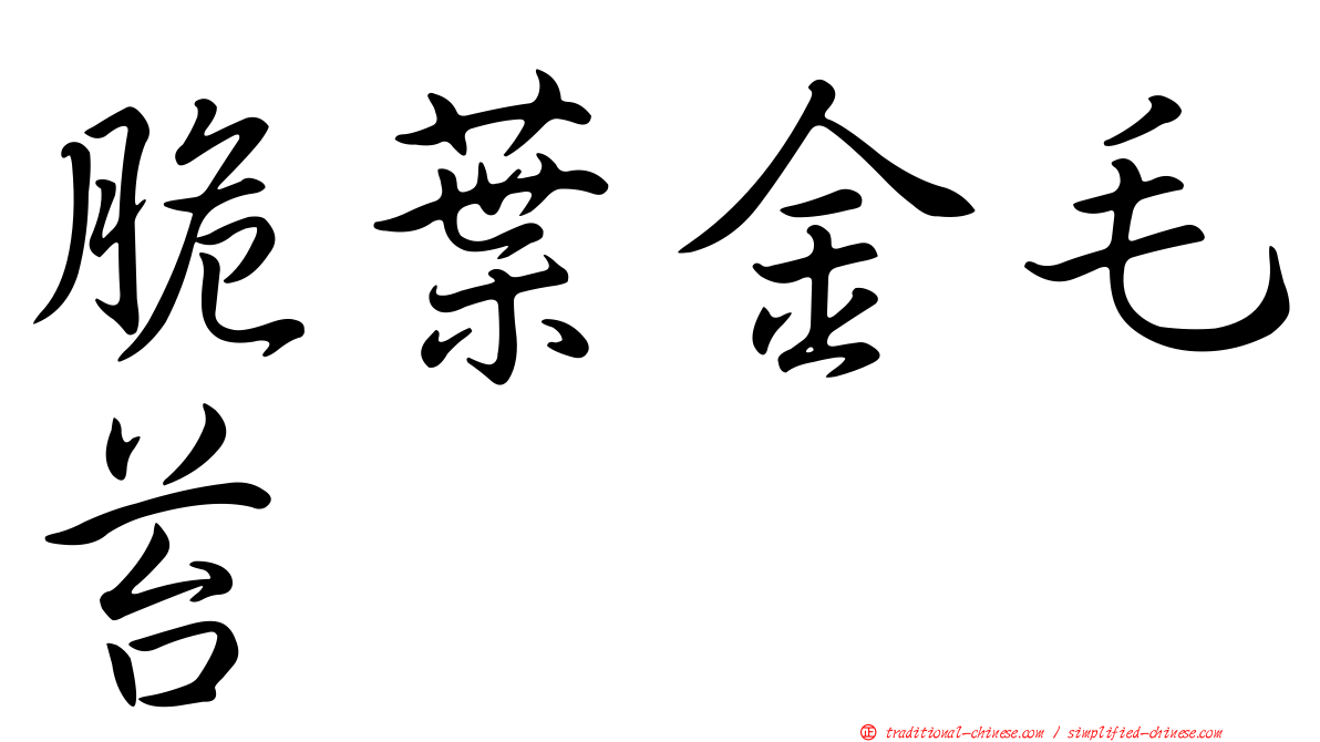 脆葉金毛苔