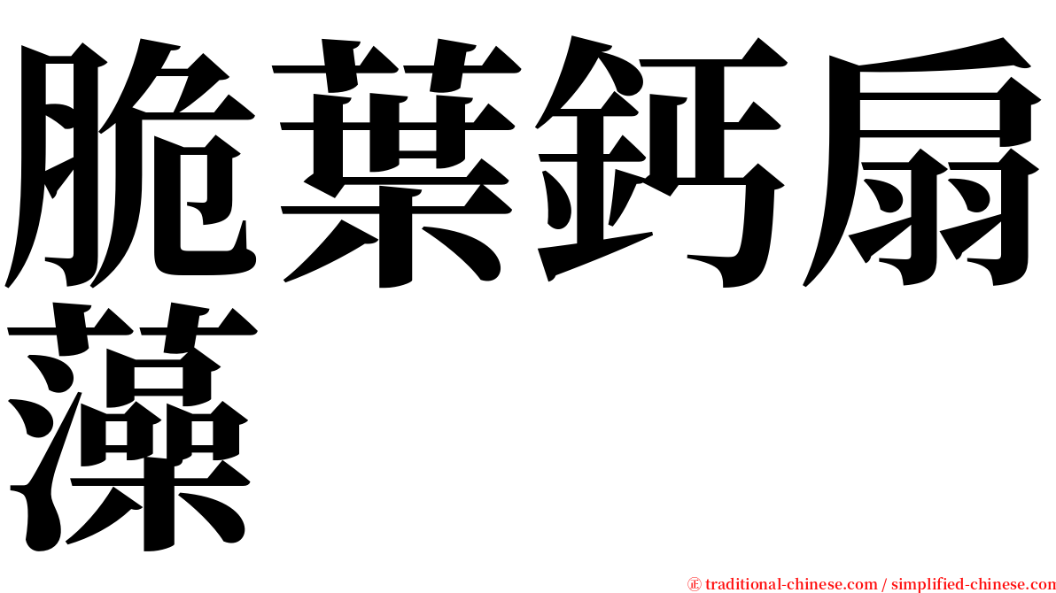 脆葉鈣扇藻 serif font