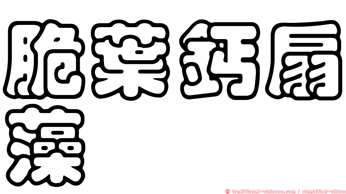 脆葉鈣扇藻