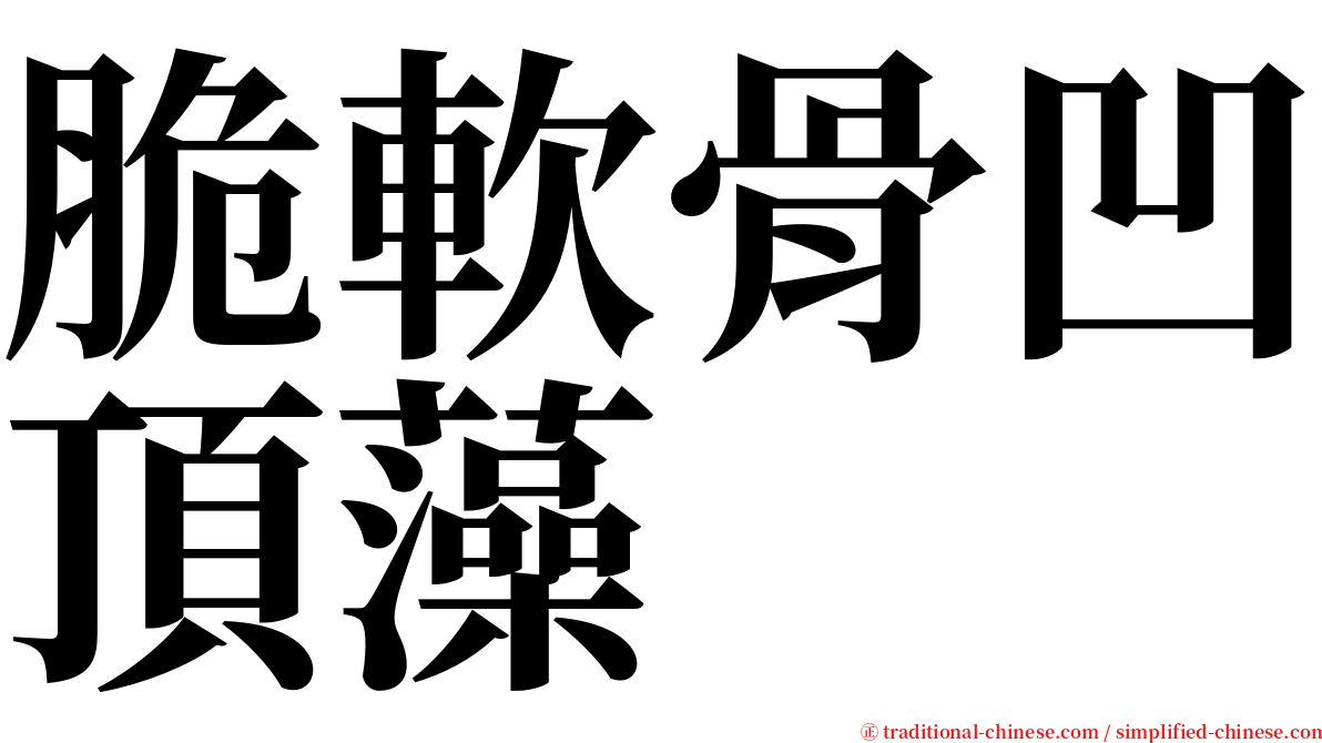 脆軟骨凹頂藻 serif font