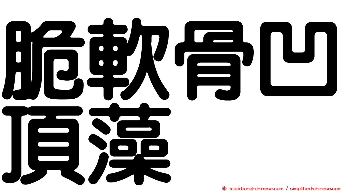 脆軟骨凹頂藻