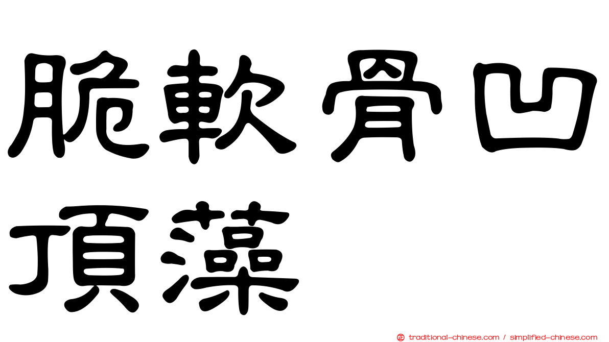 脆軟骨凹頂藻