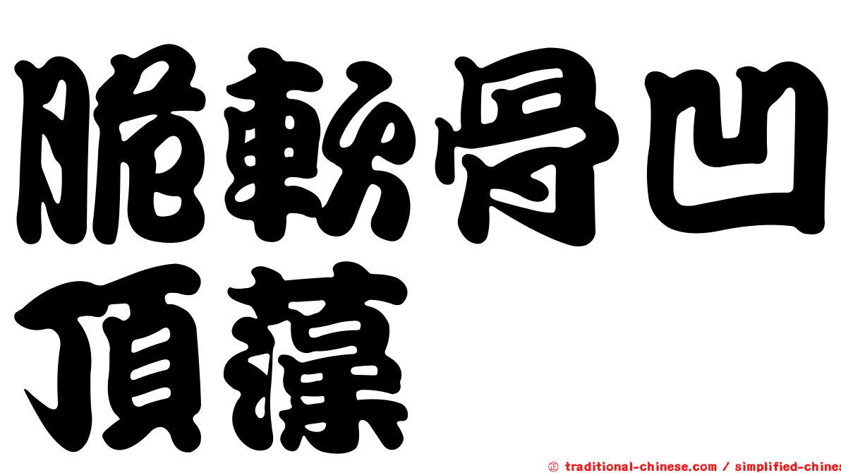 脆軟骨凹頂藻