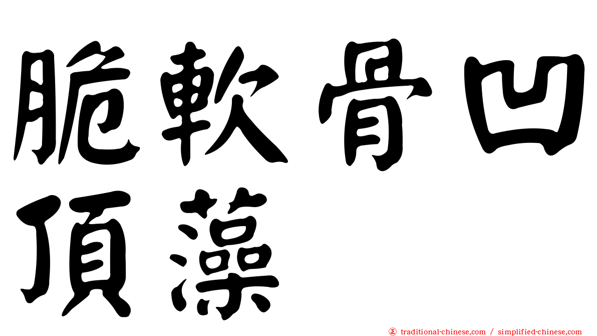 脆軟骨凹頂藻