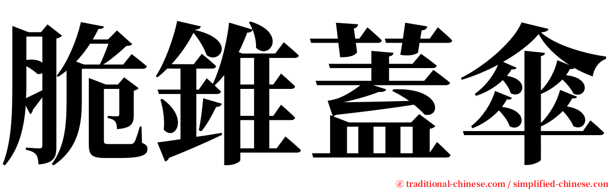 脆錐蓋傘 serif font