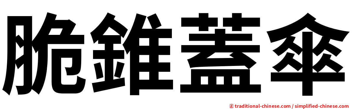 脆錐蓋傘