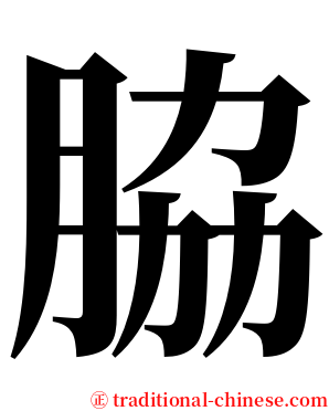 脇 serif font