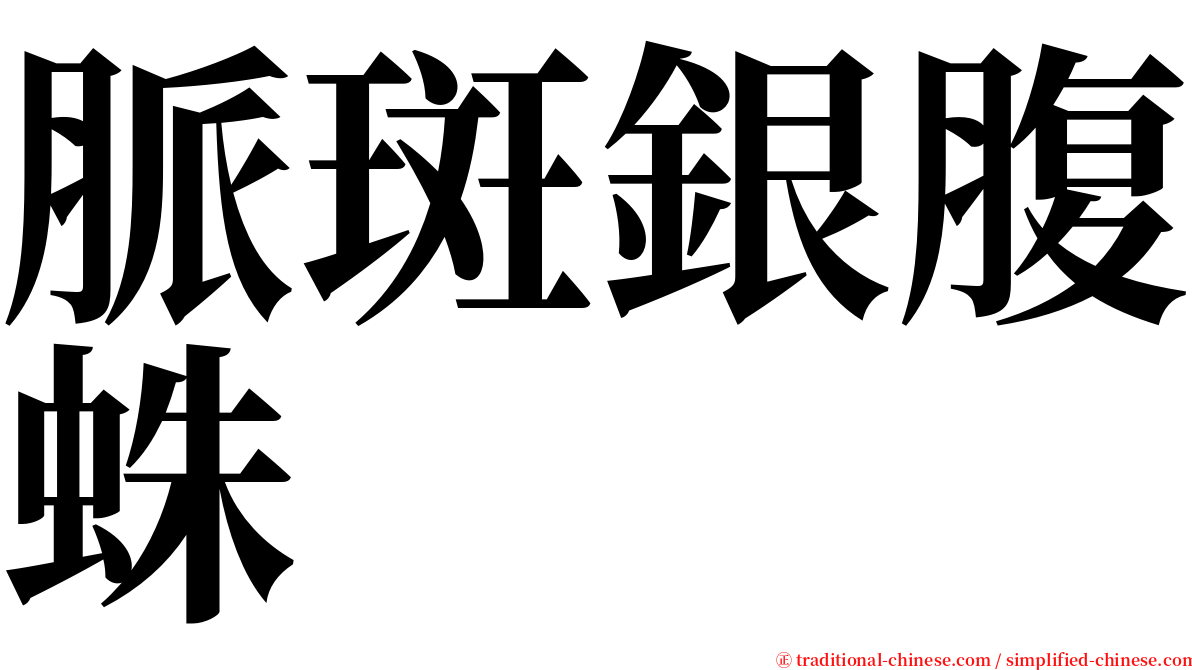 脈斑銀腹蛛 serif font