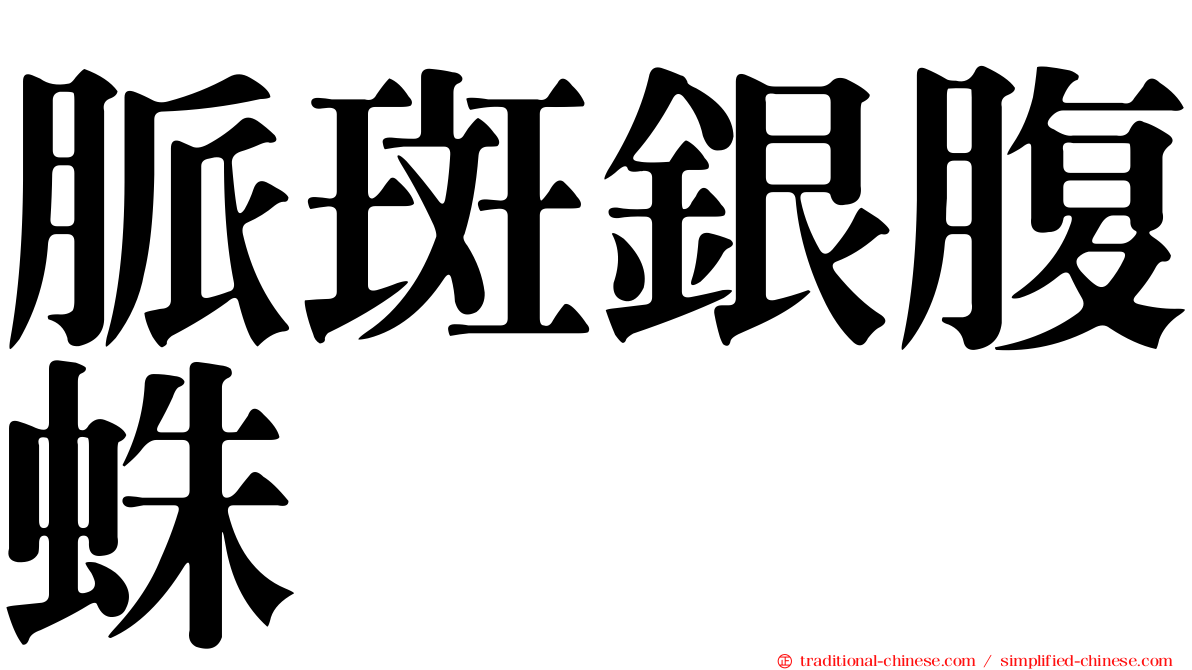 脈斑銀腹蛛