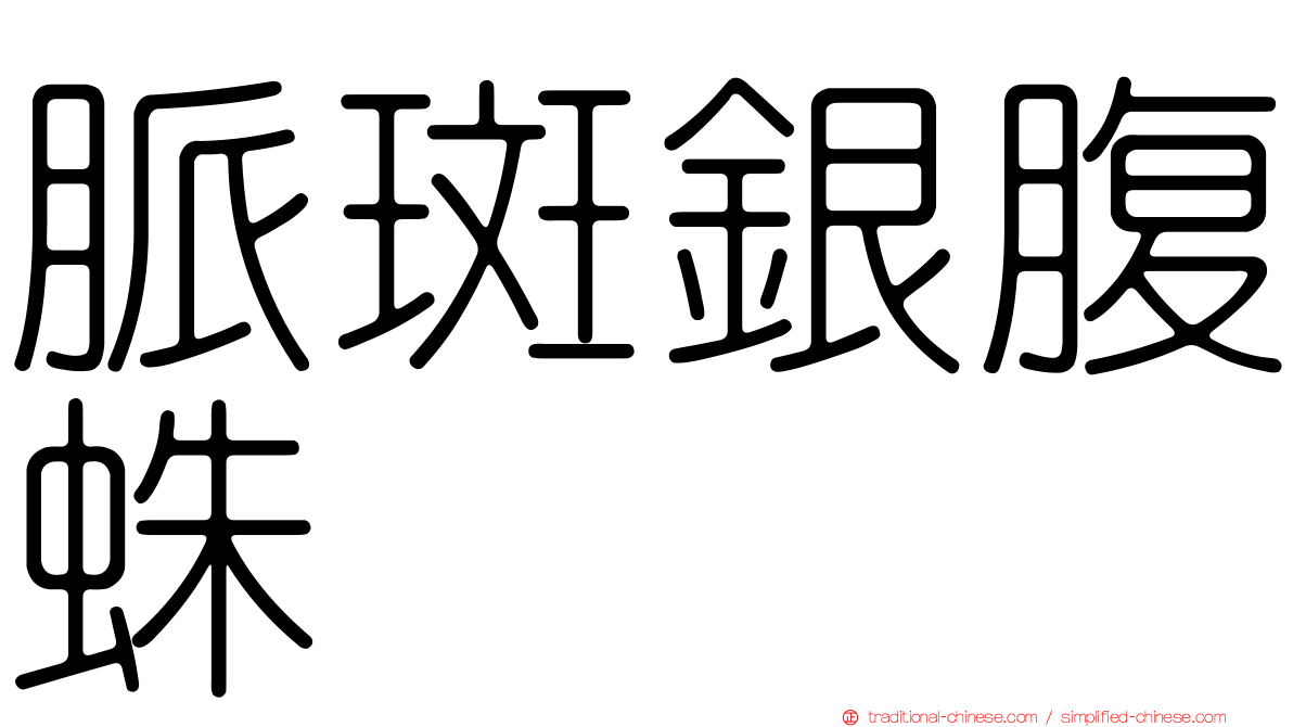 脈斑銀腹蛛