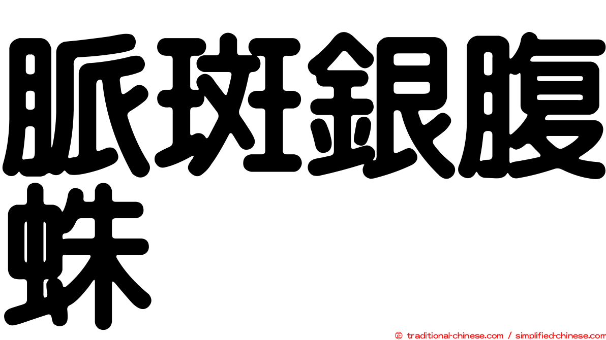 脈斑銀腹蛛