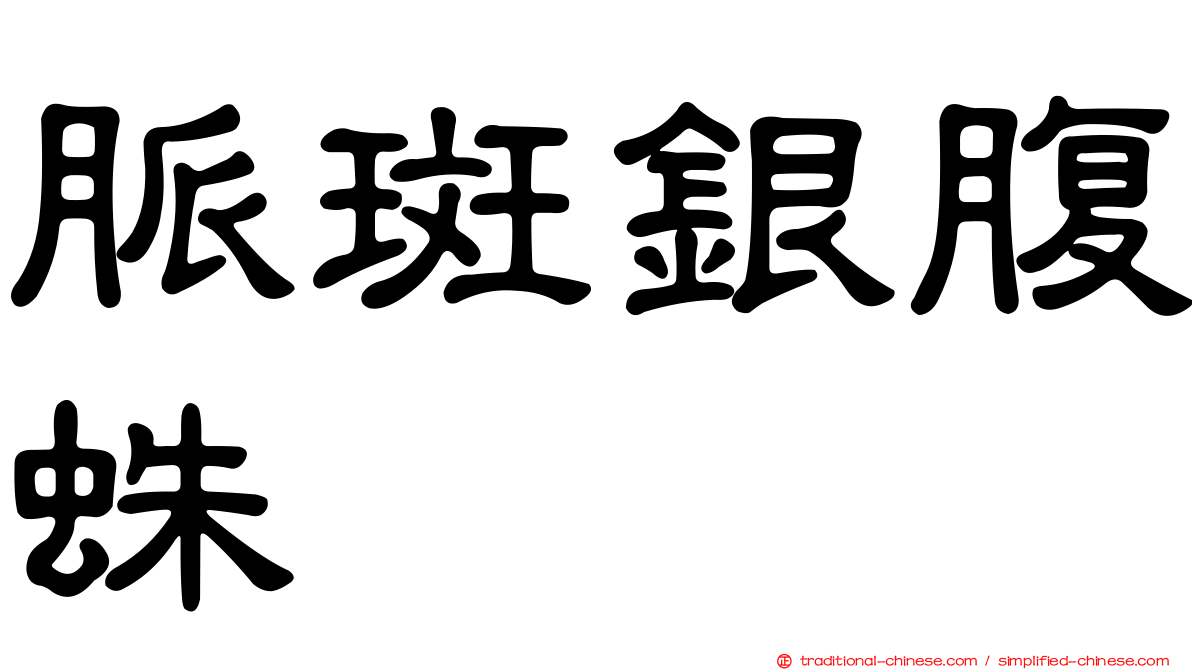 脈斑銀腹蛛