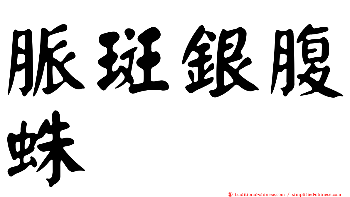 脈斑銀腹蛛