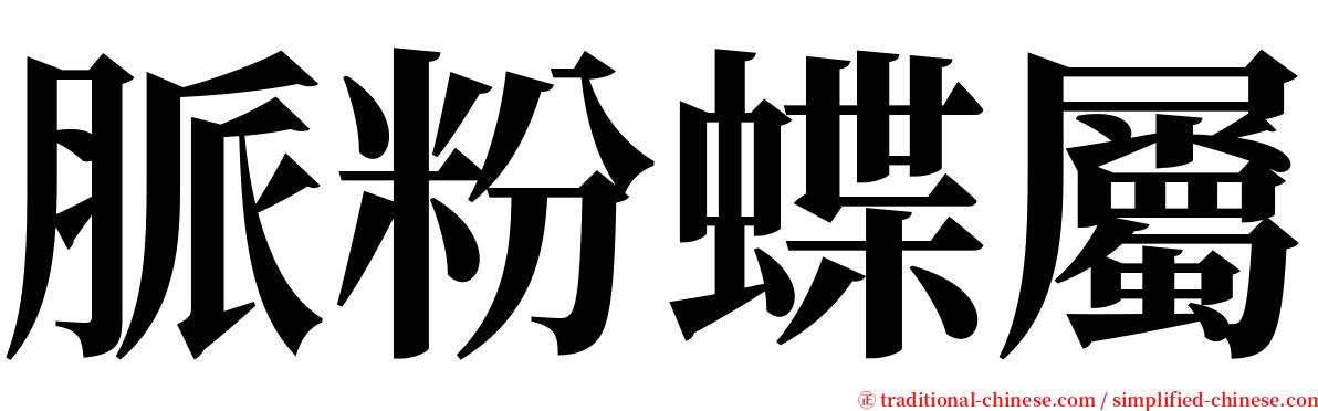 脈粉蝶屬 serif font