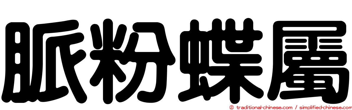 脈粉蝶屬