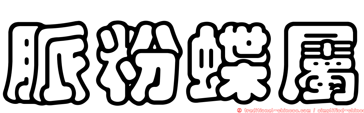 脈粉蝶屬