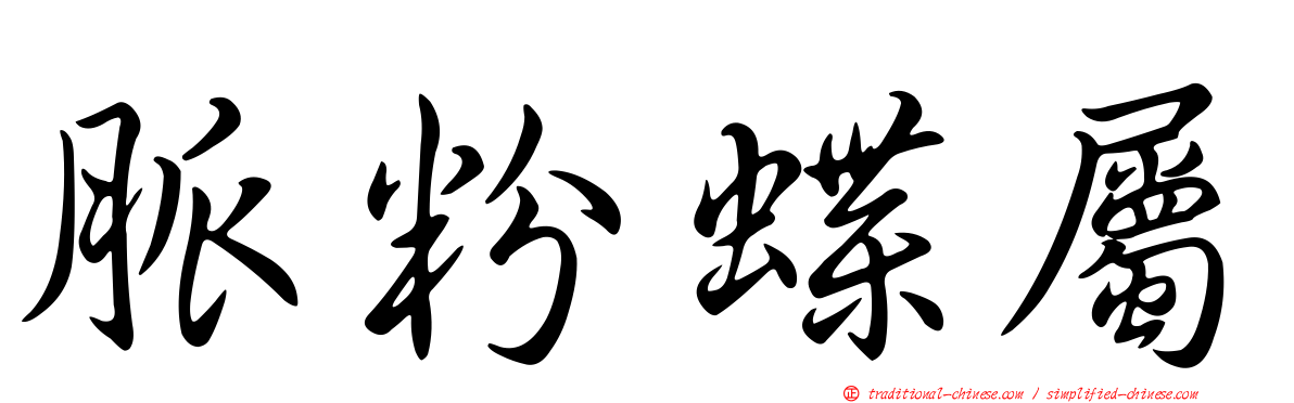 脈粉蝶屬