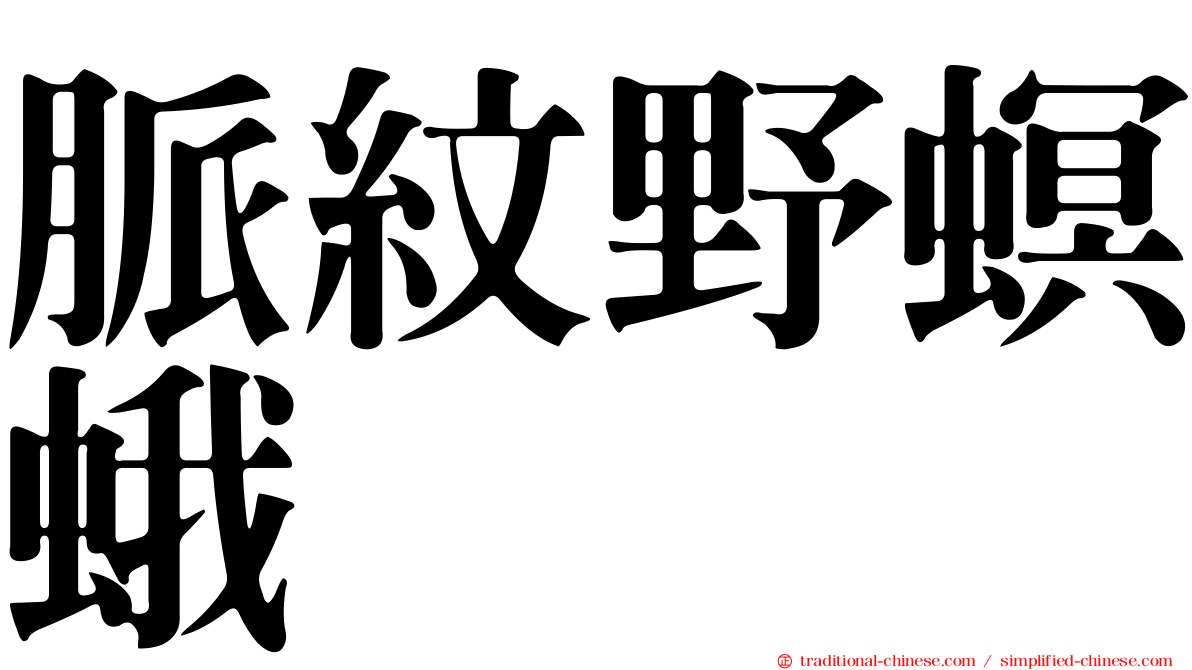 脈紋野螟蛾
