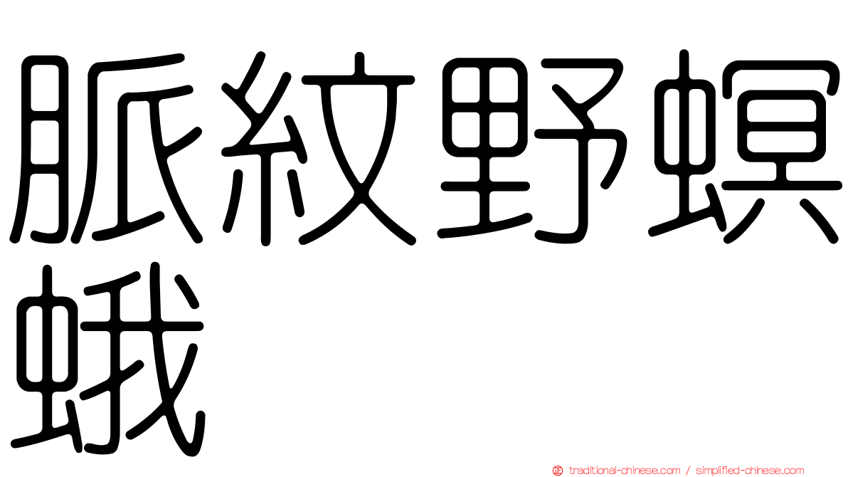 脈紋野螟蛾