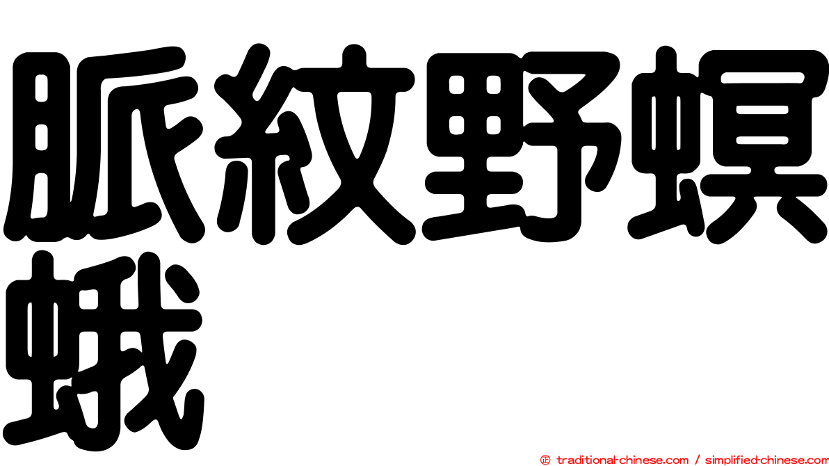 脈紋野螟蛾