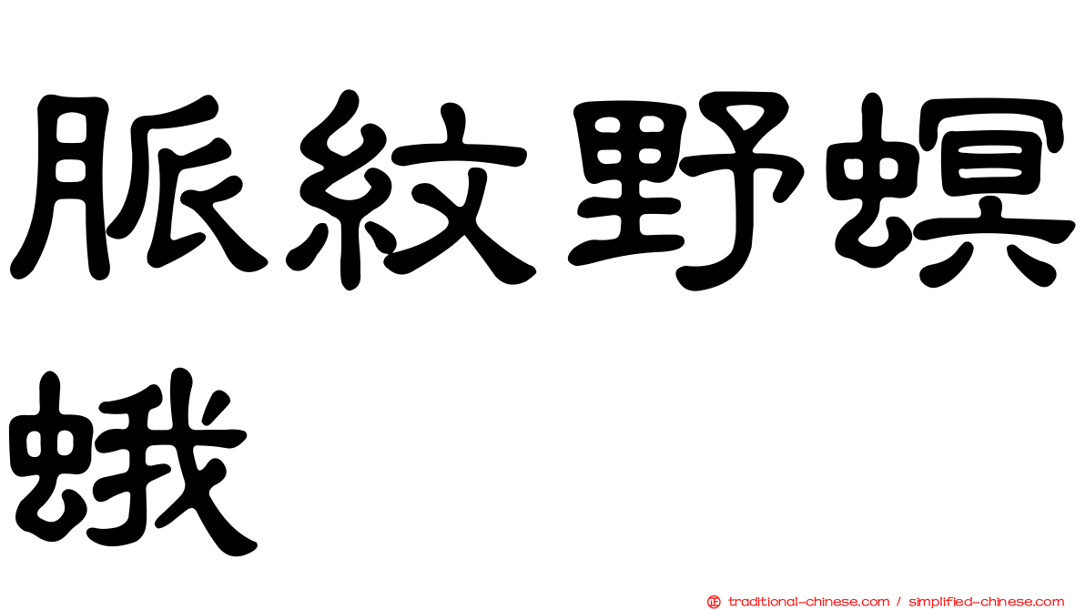 脈紋野螟蛾