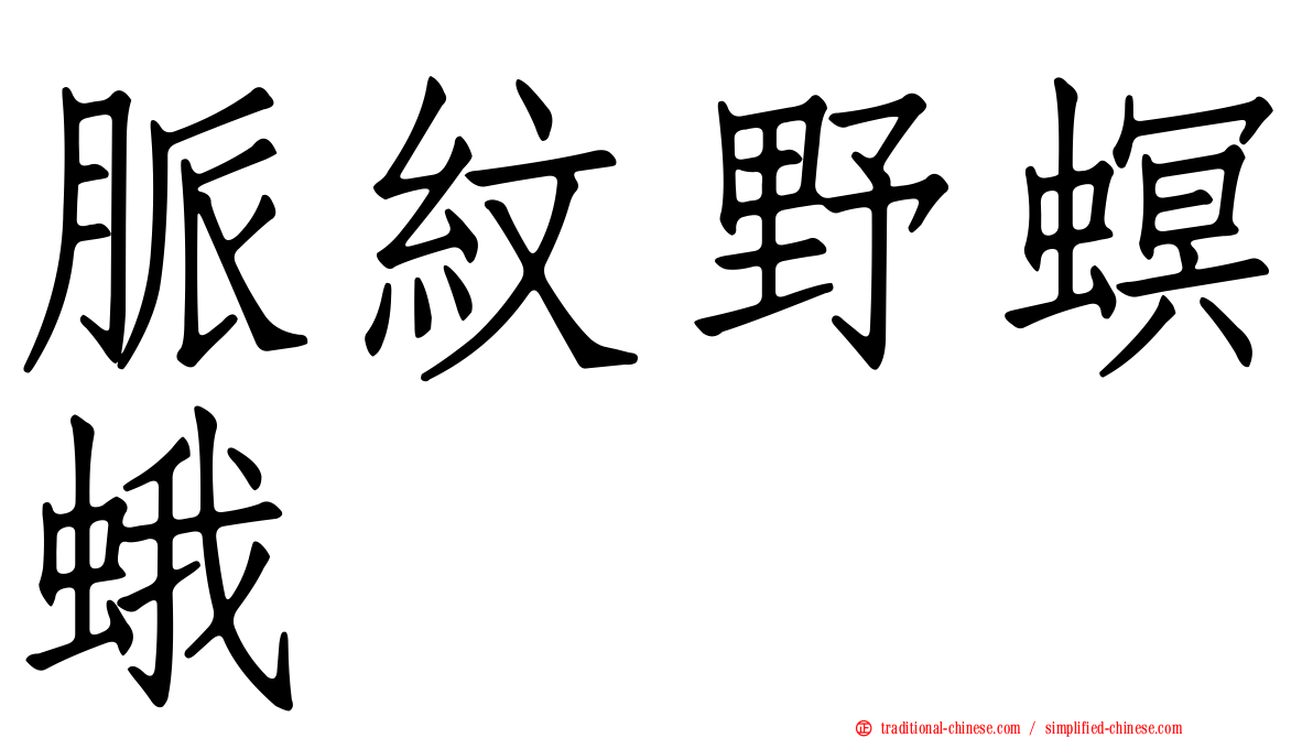 脈紋野螟蛾