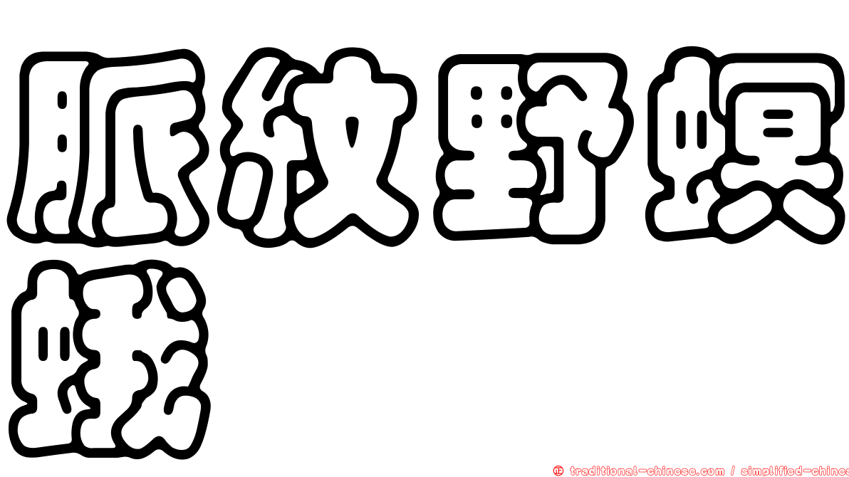 脈紋野螟蛾