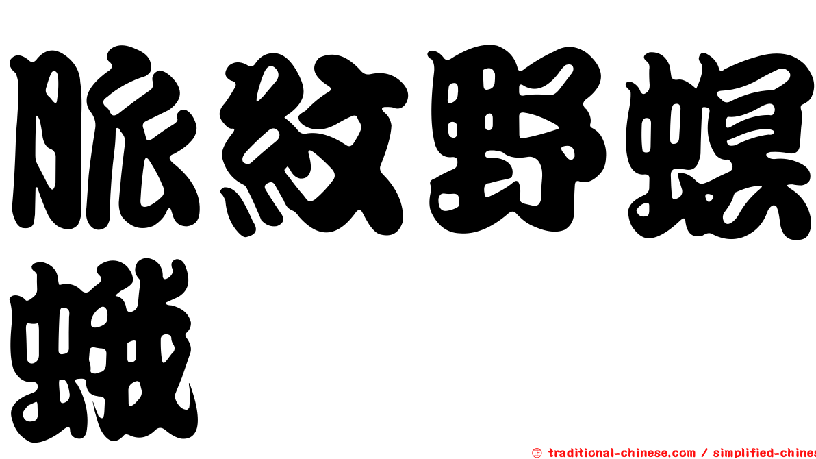 脈紋野螟蛾