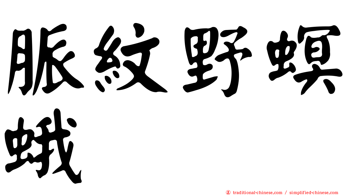 脈紋野螟蛾