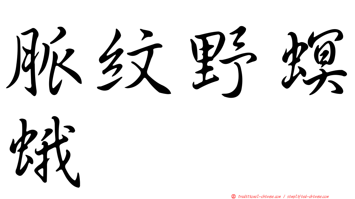 脈紋野螟蛾
