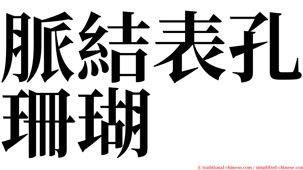 脈結表孔珊瑚 serif font