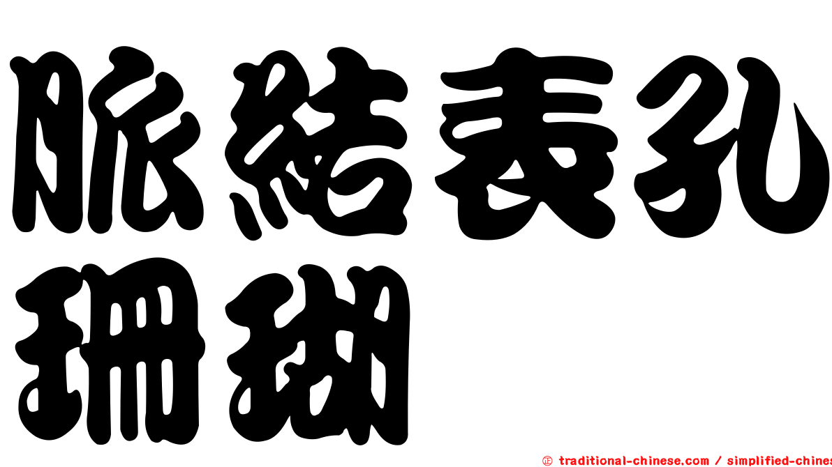 脈結表孔珊瑚