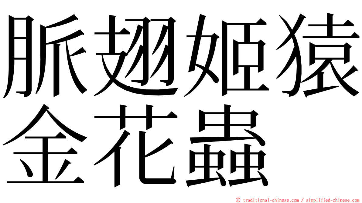 脈翅姬猿金花蟲 ming font