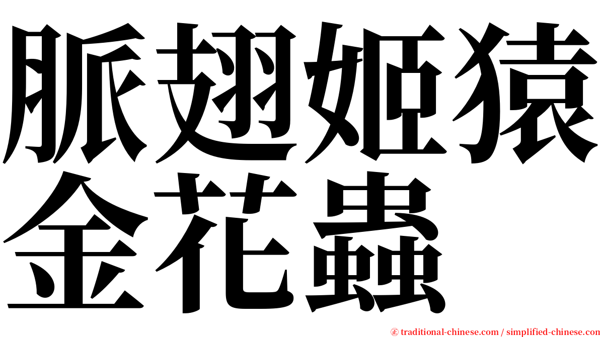 脈翅姬猿金花蟲 serif font