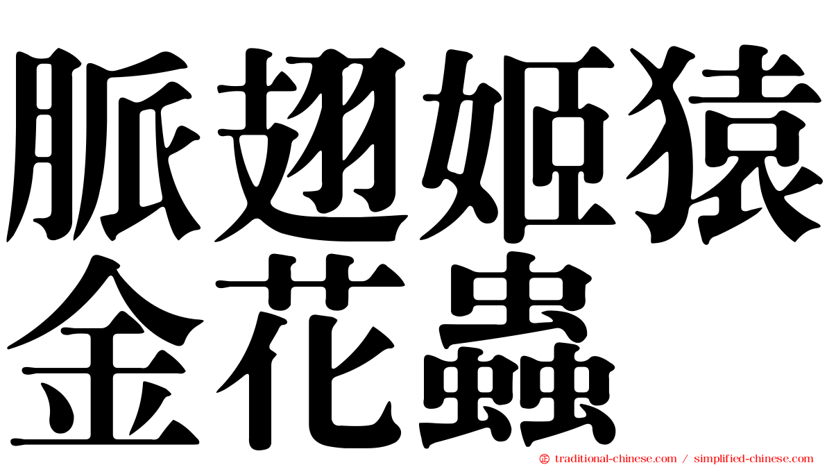 脈翅姬猿金花蟲