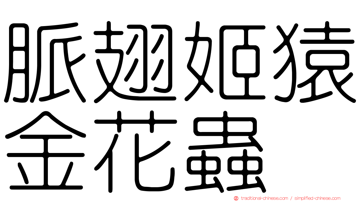 脈翅姬猿金花蟲