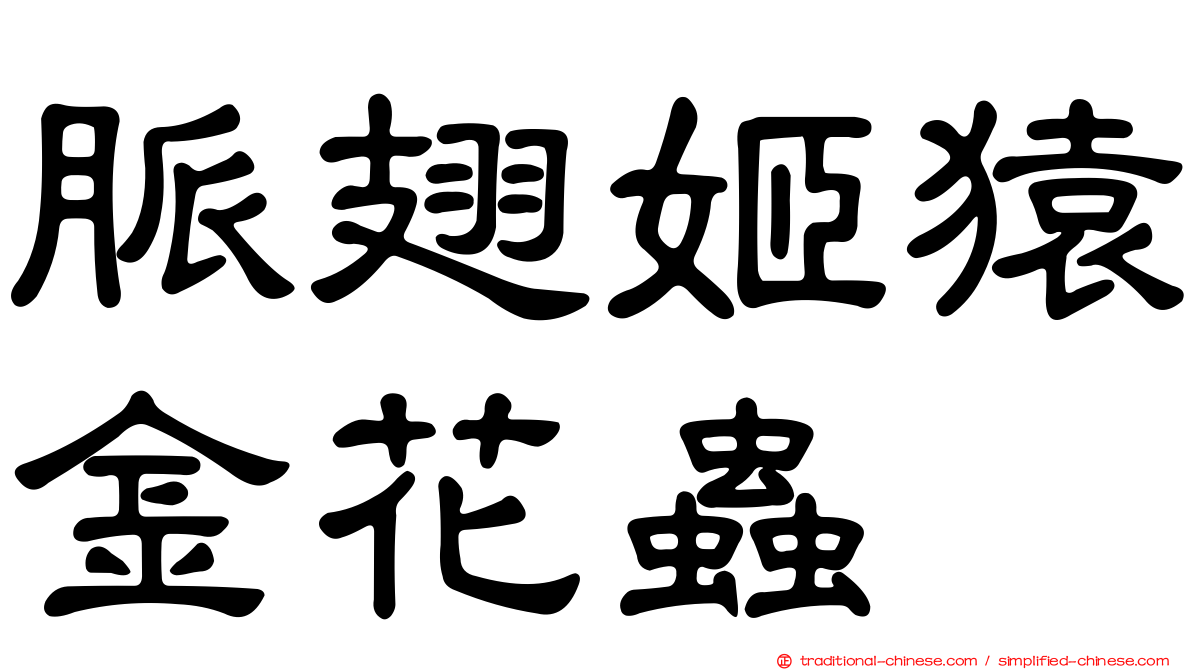 脈翅姬猿金花蟲