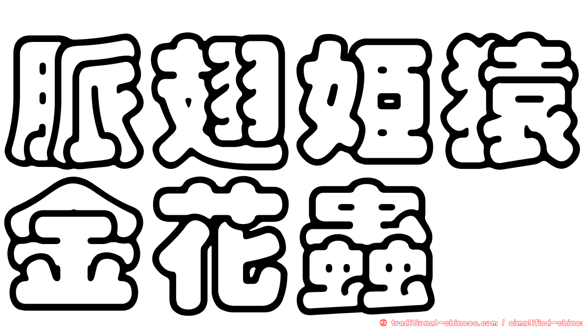 脈翅姬猿金花蟲