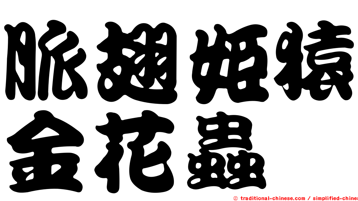 脈翅姬猿金花蟲