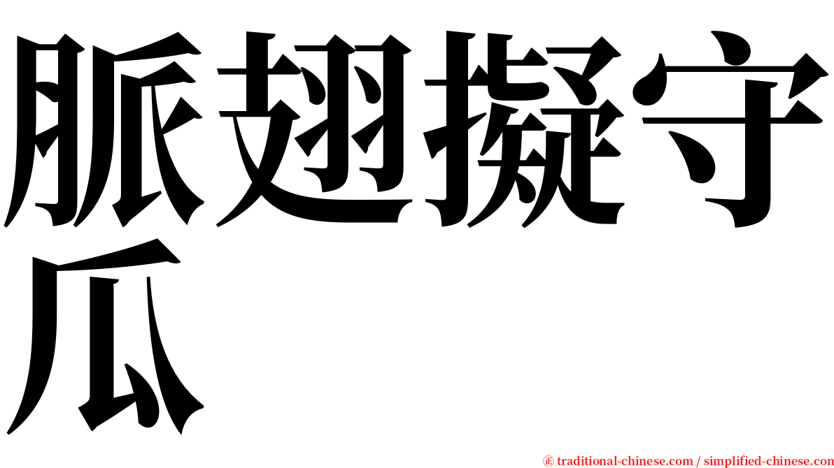 脈翅擬守瓜 serif font