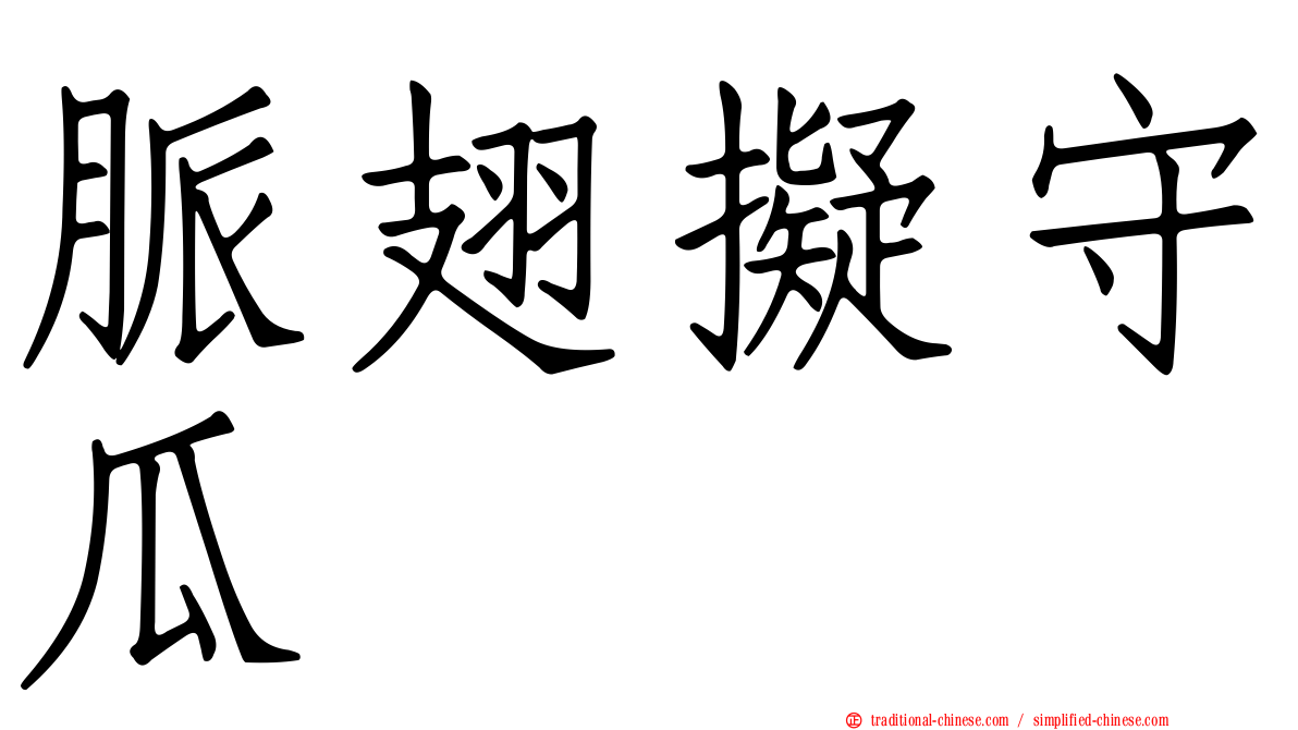 脈翅擬守瓜