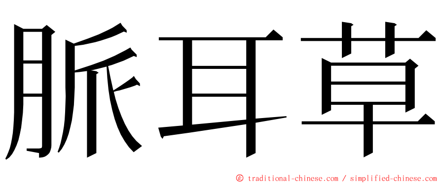脈耳草 ming font