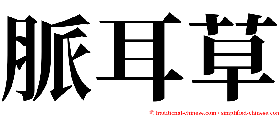 脈耳草 serif font