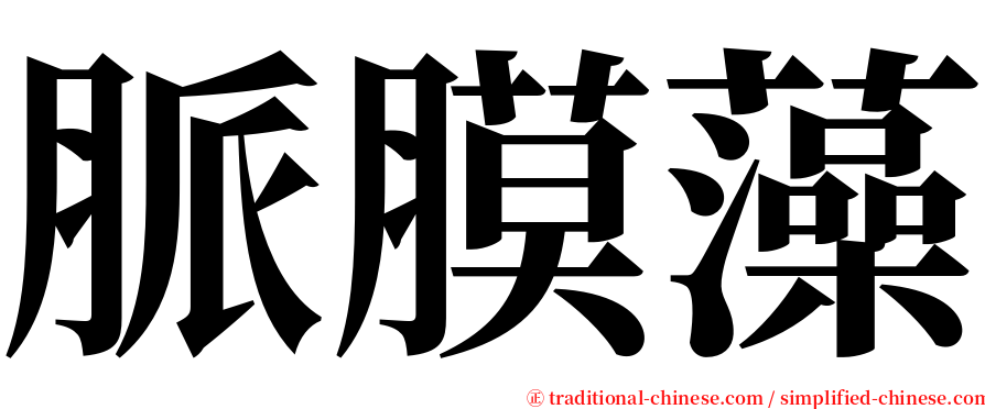 脈膜藻 serif font