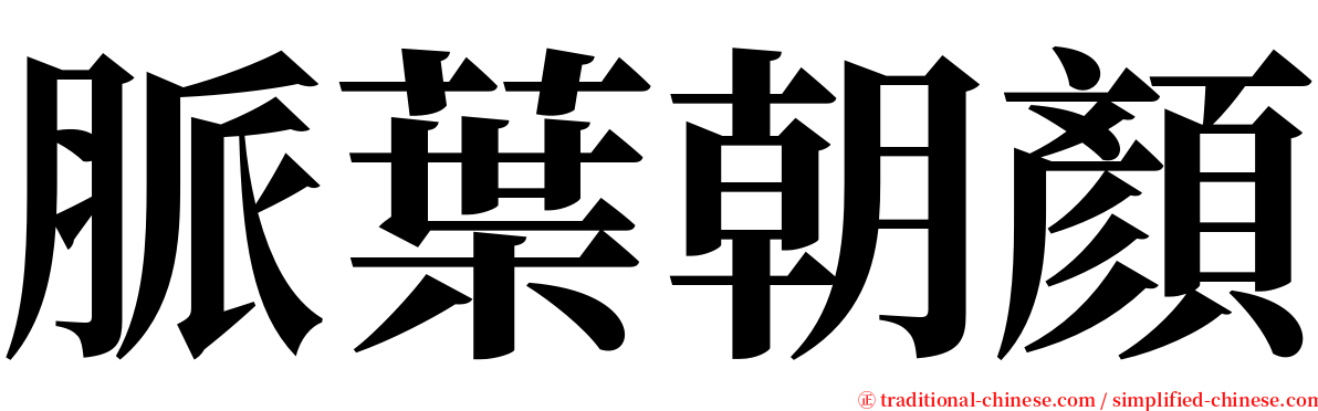 脈葉朝顏 serif font