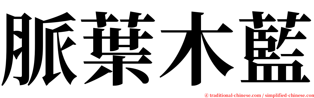 脈葉木藍 serif font