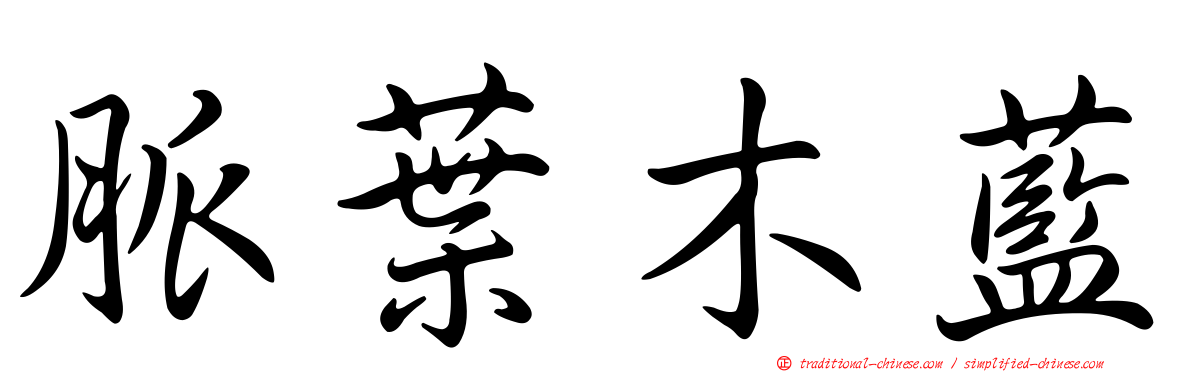 脈葉木藍