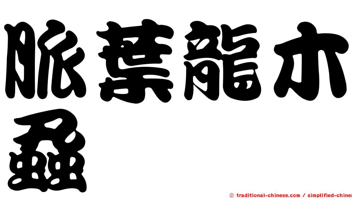 脈葉龍木蝨